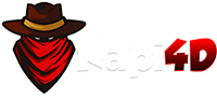 napi4d login